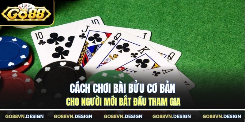 Cách chơi bài bửu cơ bản cho người mới bắt đầu tham gia